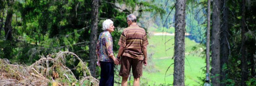 Tax Planning Tips for Retirees and Seniors